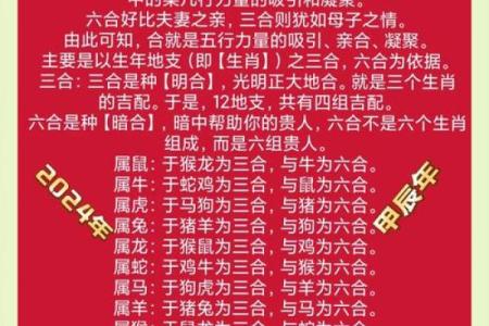 2023属龙和兔狗虎相冲吗,2023年属龙与兔狗虎之间的冲突情况